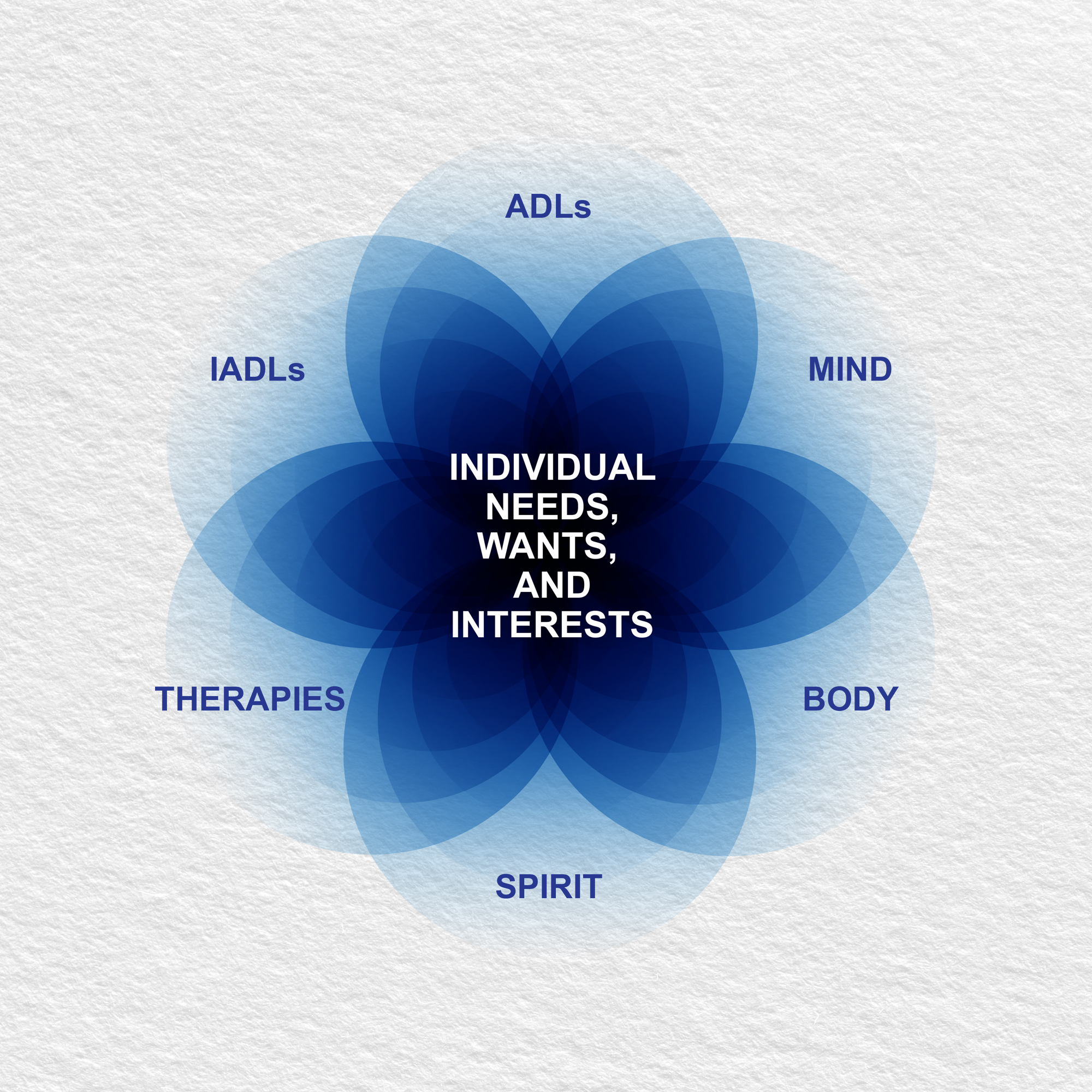 Image of lotus depicting all areas that services address
